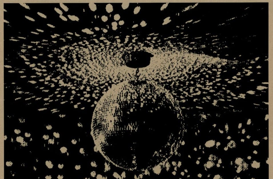 Mirror Ball, o álbum do Neil Young com Pearl Jam, ganha reedição solo
